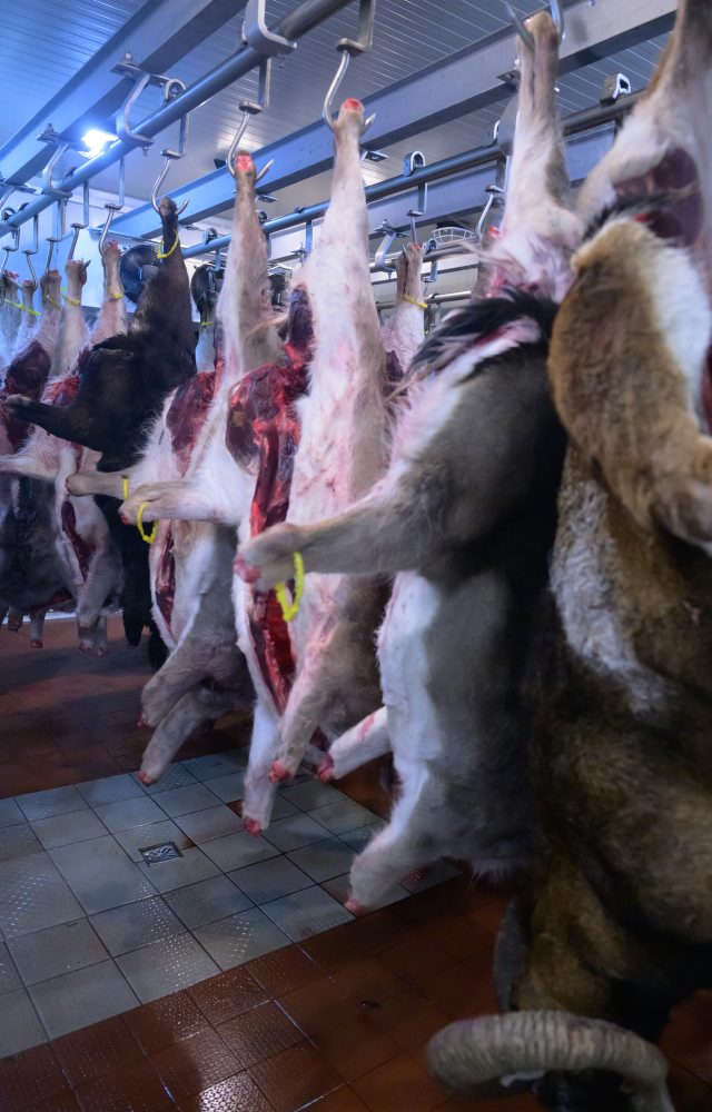 Spracovanie diviny v Stredisku služieb štátneho podniku Lesy SR v Topolčiankach 