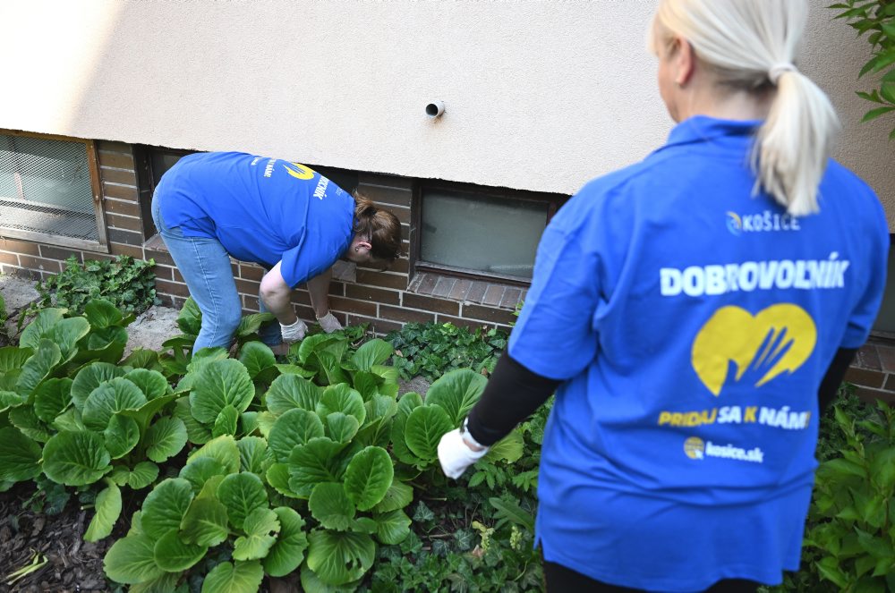 Dobrovoľníci26: Záujem o dobrovoľníctvo v Košiciach od roku 2019 rastie