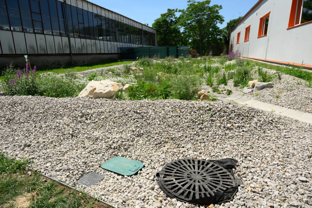 V areáli SPU v Nitre vznikla unikátna dažďová záhrada
