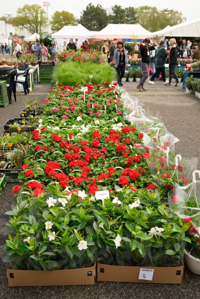 Záhradkárska výstava Gardenia na výstavisku Agrokomplex v Nitre 