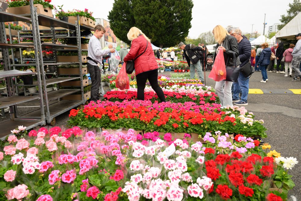 Záhradkárska výstava Gardenia na výstavisku Agrokomplex v Nitre 
