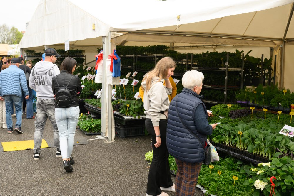 Záhradkárska výstava Gardenia na výstavisku Agrokomplex v Nitre 