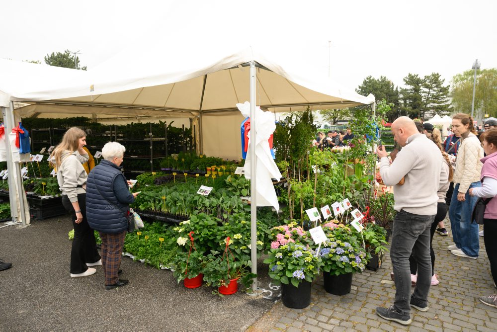 Záhradkárska výstava Gardenia na výstavisku Agrokomplex v Nitre 