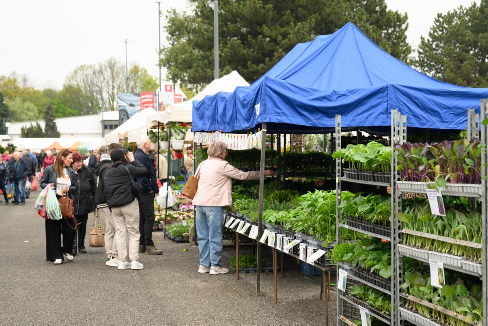 Záhradkárska výstava Gardenia na výstavisku Agrokomplex v Nitre 