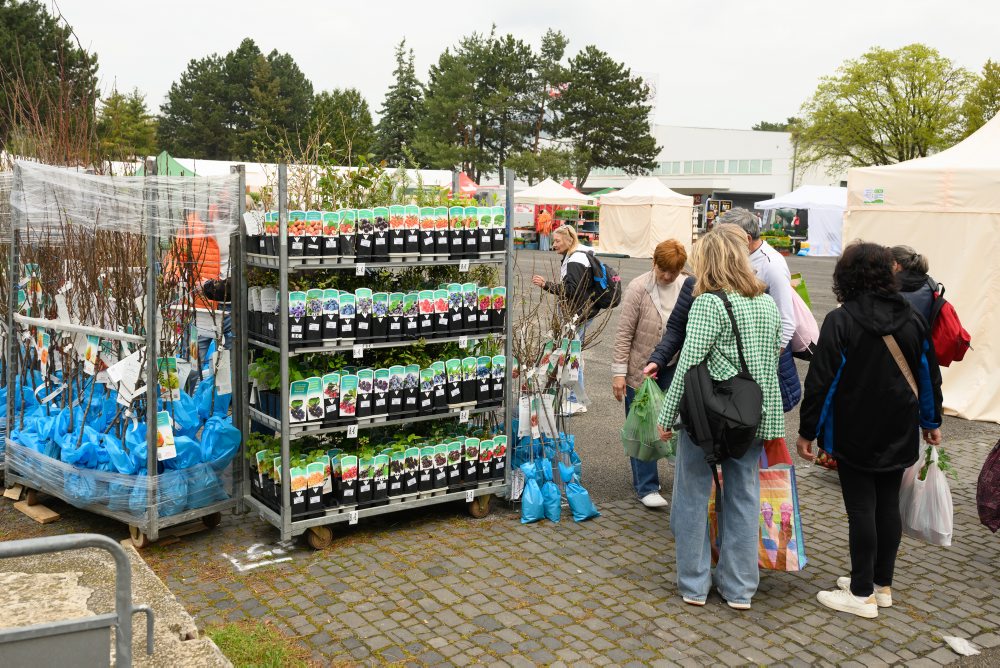 Záhradkárska výstava Gardenia na výstavisku Agrokomplex v Nitre 