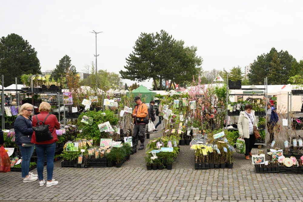 Záhradkárska výstava Gardenia na výstavisku Agrokomplex v Nitre 