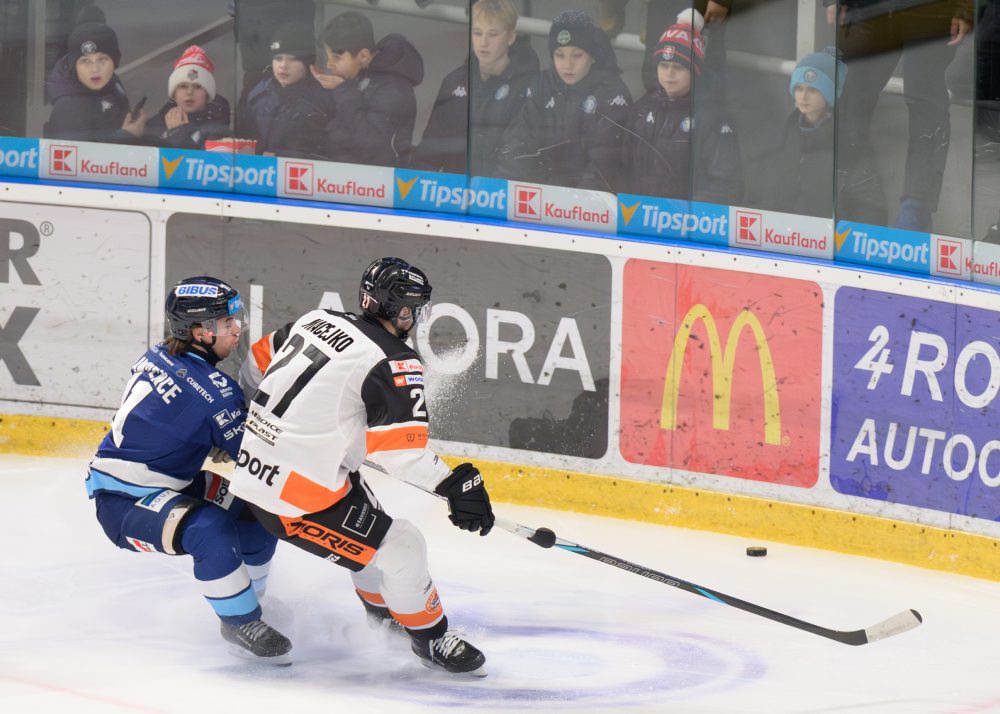 HK Nitra - HK Dukla Michalovce