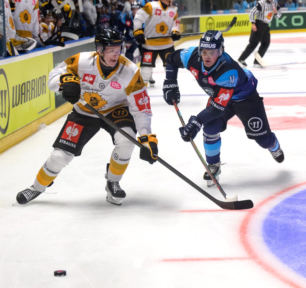 1. kolo základnej časti LM v hokeji: HK Nitra - Skelleftea AIK