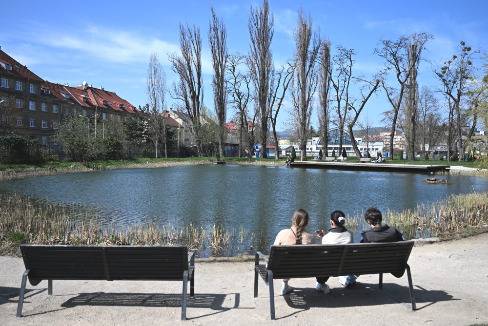 Jazero v košickom Mestskom parku