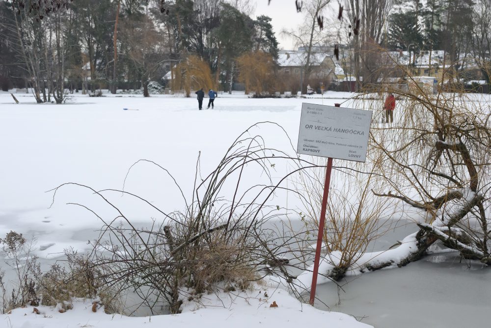 Korčuľovanie na zamrznutom jazierku v parku na Sihoti v centre Nitry