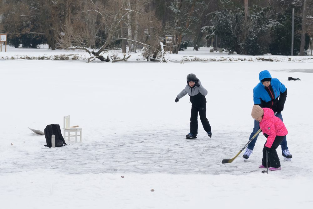 Korčuľovanie na zamrznutom jazierku v parku na Sihoti v centre Nitry