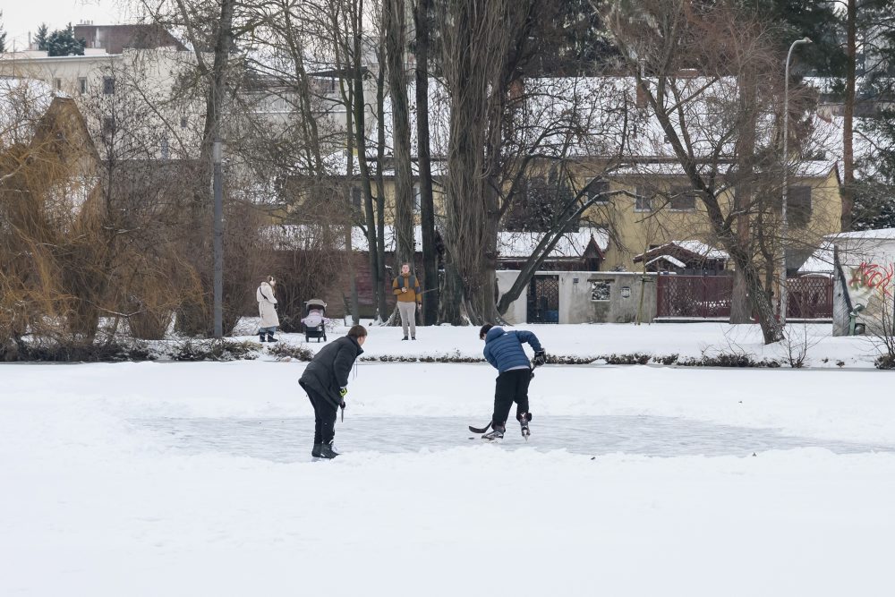 Korčuľovanie na zamrznutom jazierku v parku na Sihoti v centre Nitry