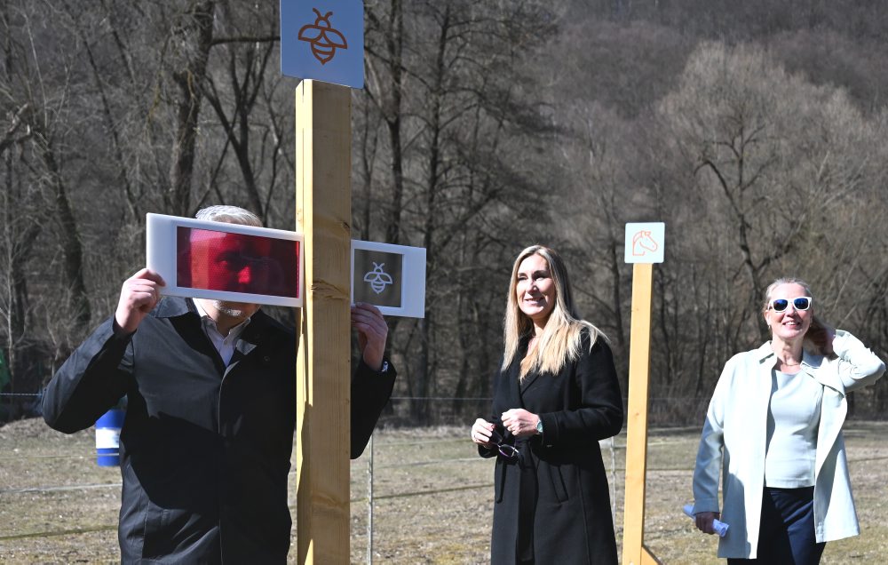 Prezentácia nových prvkov a vybavenia v Škole v prírode v Kysaku