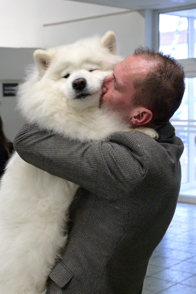 Výstava psov v Nitre