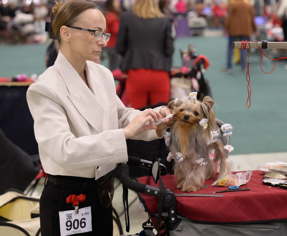 Výstava psov v Nitre