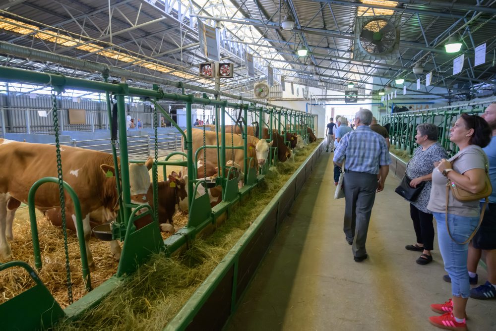 51. ročník medzinárodnej poľnohospodárskej a potravinárskej výstavy Agrokomplex v Nitre 