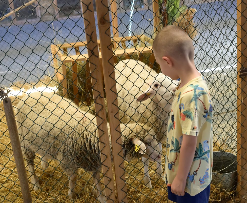 51. ročník medzinárodnej poľnohospodárskej a potravinárskej výstavy Agrokomplex v Nitre 