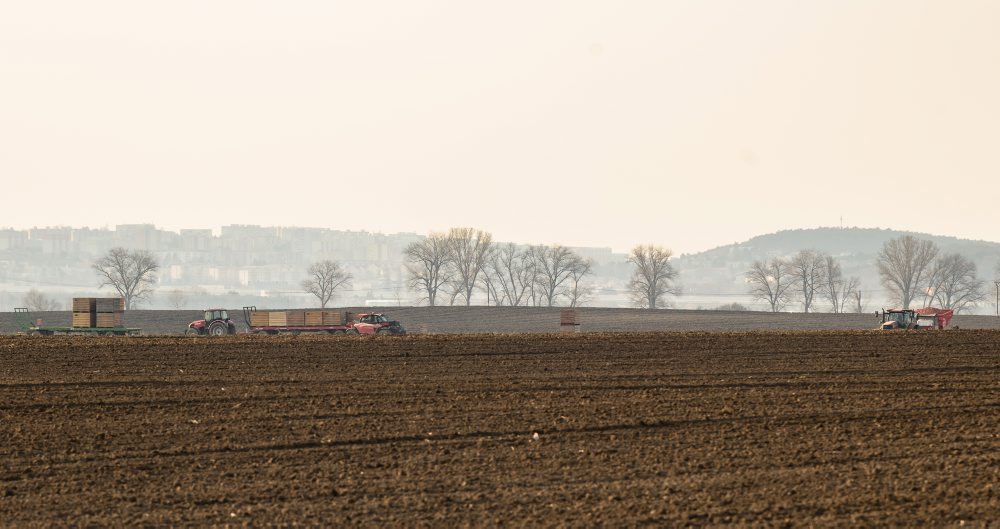 Obrábanie pôdy na poli v Janíkovciach