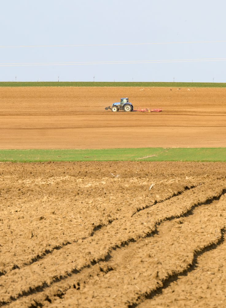 Obrábanie pôdy na poli v Janíkovciach