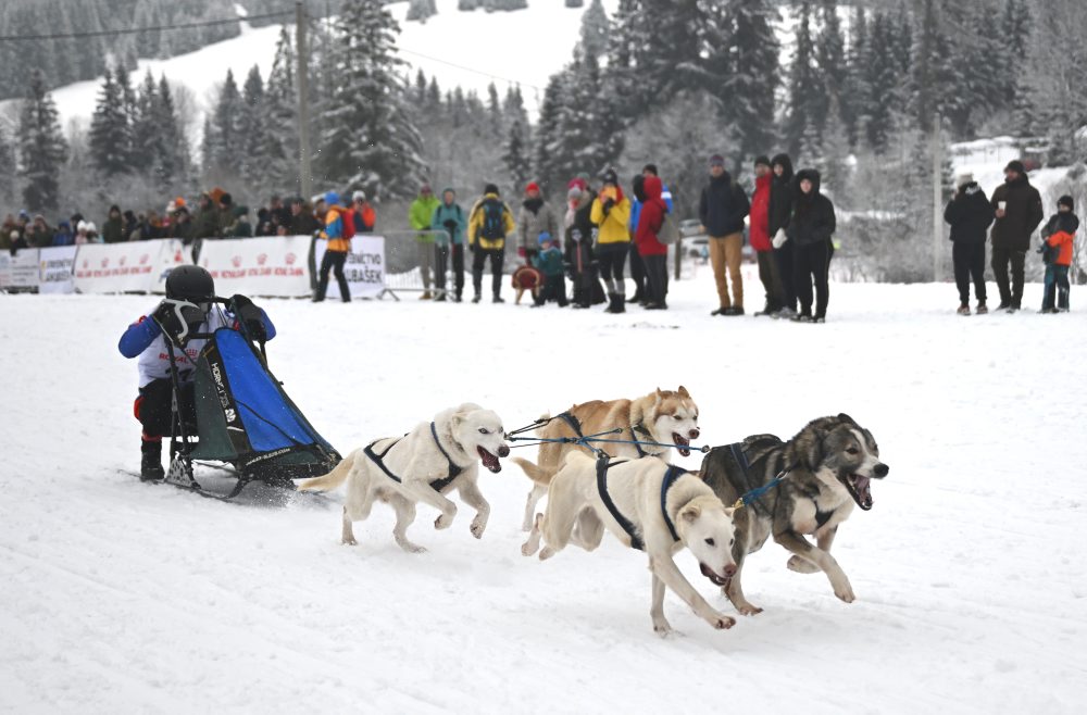 Medzinárodné preteky psích záprahov v areáli bežeckého lyžovania pri Stratenej
