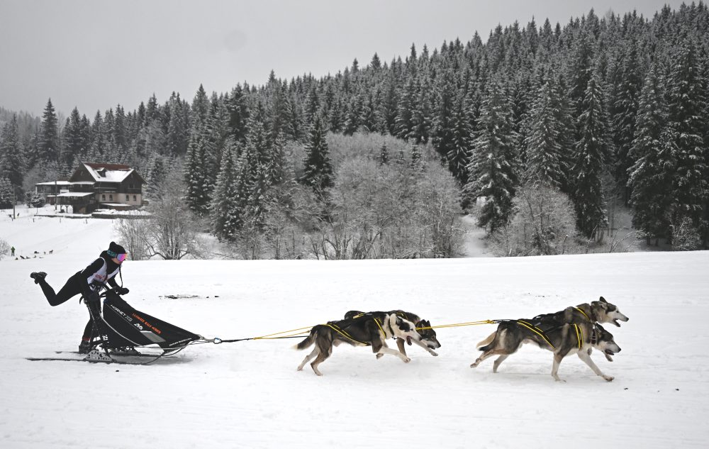 Medzinárodné preteky psích záprahov v areáli bežeckého lyžovania pri Stratenej