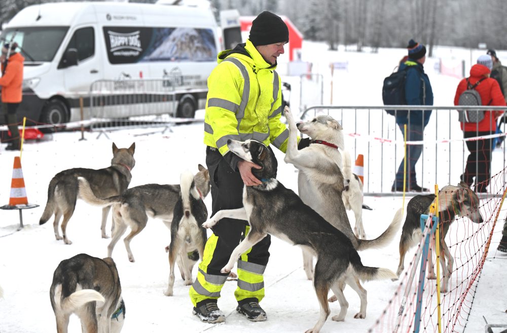 Medzinárodné preteky psích záprahov v areáli bežeckého lyžovania pri Stratenej