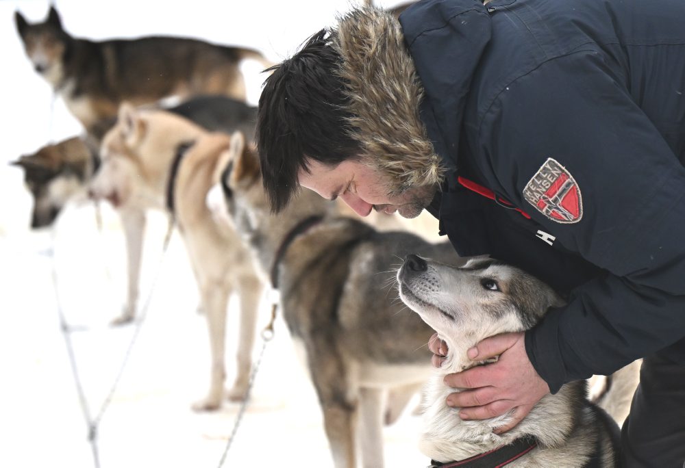Medzinárodné preteky psích záprahov v areáli bežeckého lyžovania pri Stratenej