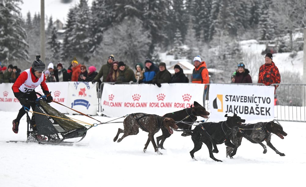 Medzinárodné preteky psích záprahov v areáli bežeckého lyžovania pri Stratenej