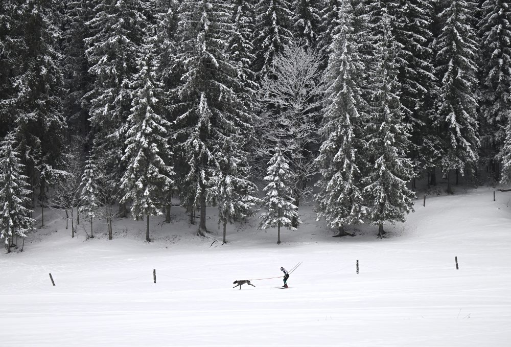 Medzinárodné preteky psích záprahov v areáli bežeckého lyžovania pri Stratenej