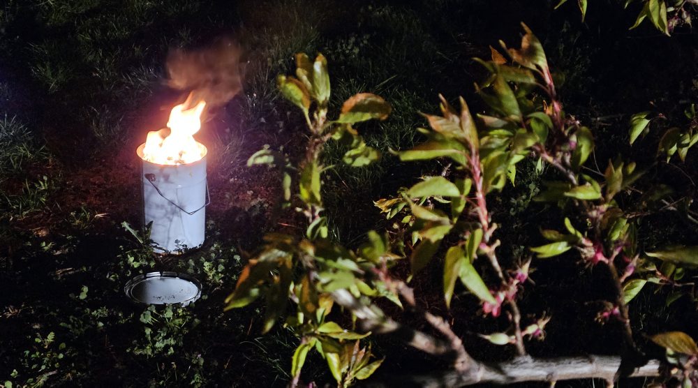 Ochrana úrody pred mrazmi v broskyňovom sade pri Pribete