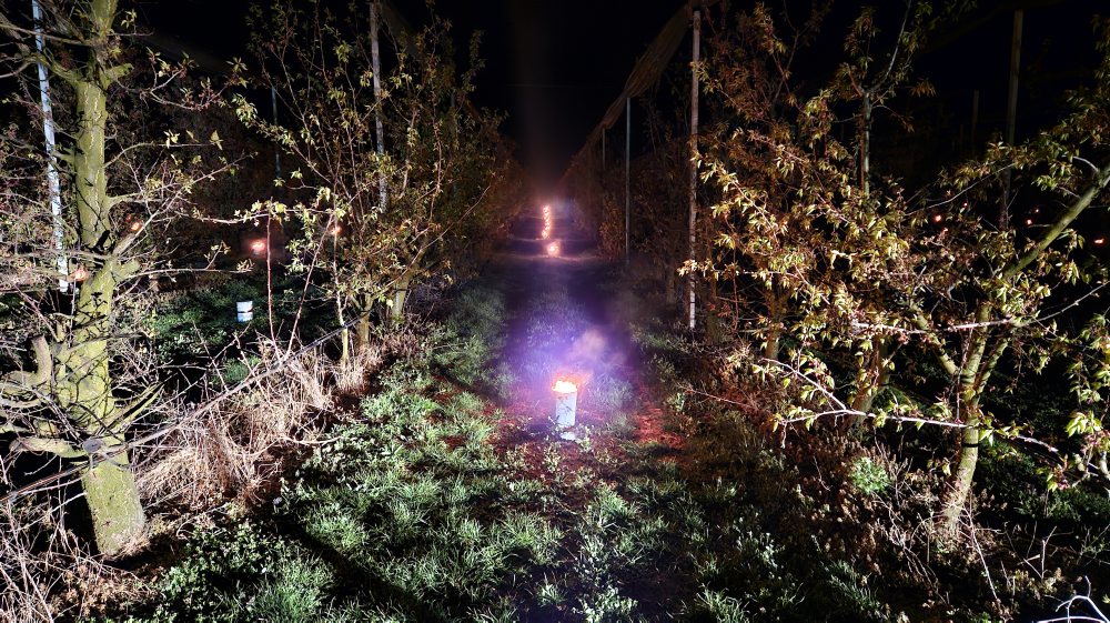 Ochrana úrody pred mrazmi v broskyňovom sade pri Pribete