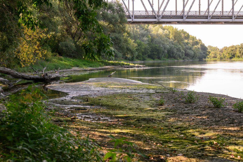 Stav vodnej hladiny na sútoku Malého Dunaja a Váhu pri meste Kolárovo