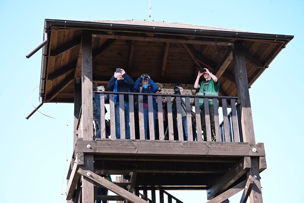 Vítanie migrujúcich vtákov na Senianskych rybníkoch pri obci Senné v okrese Michalovce