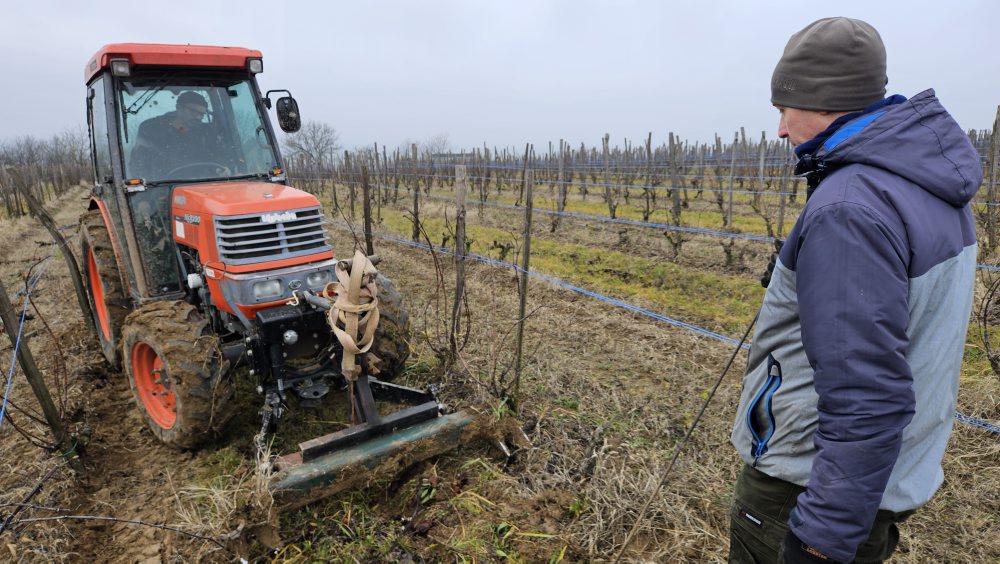 Klčovanie infikovaného viniča v obci Strekov