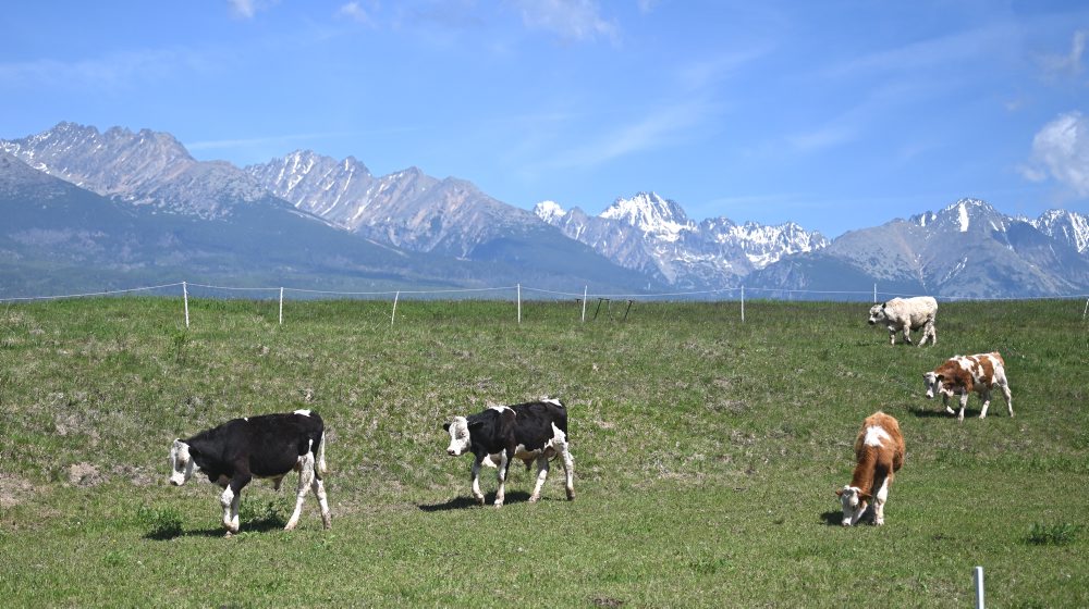 Vysoké Tatry z obce Važec 