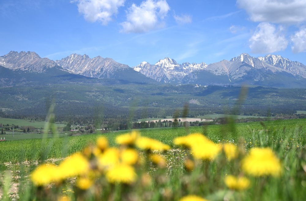 Vysoké Tatry z obce Važec 