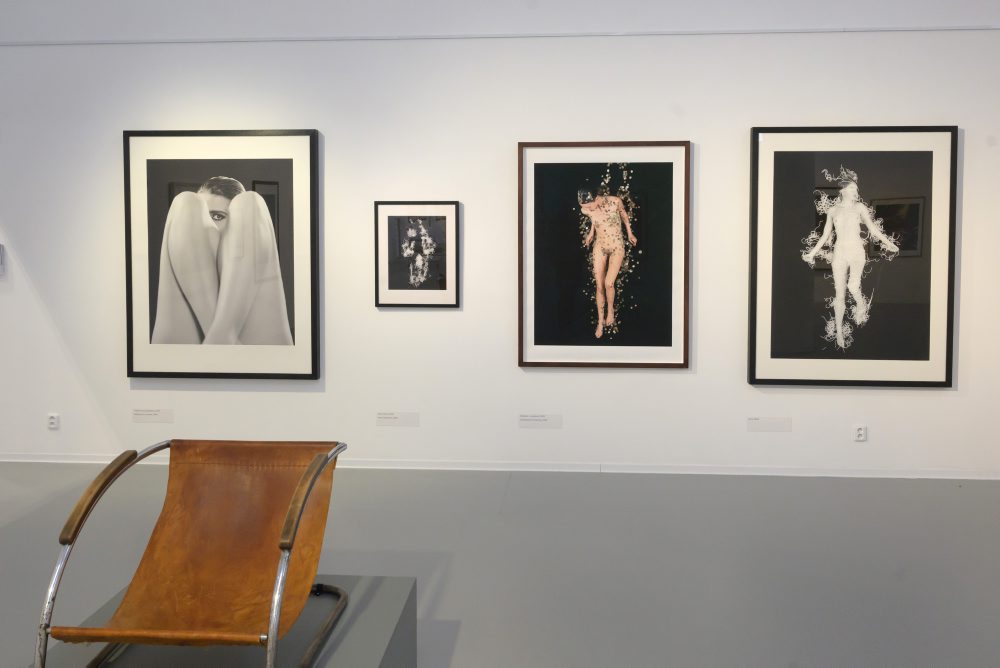 Výstava fotografií Tona Stana v bratislavskej Danubiane