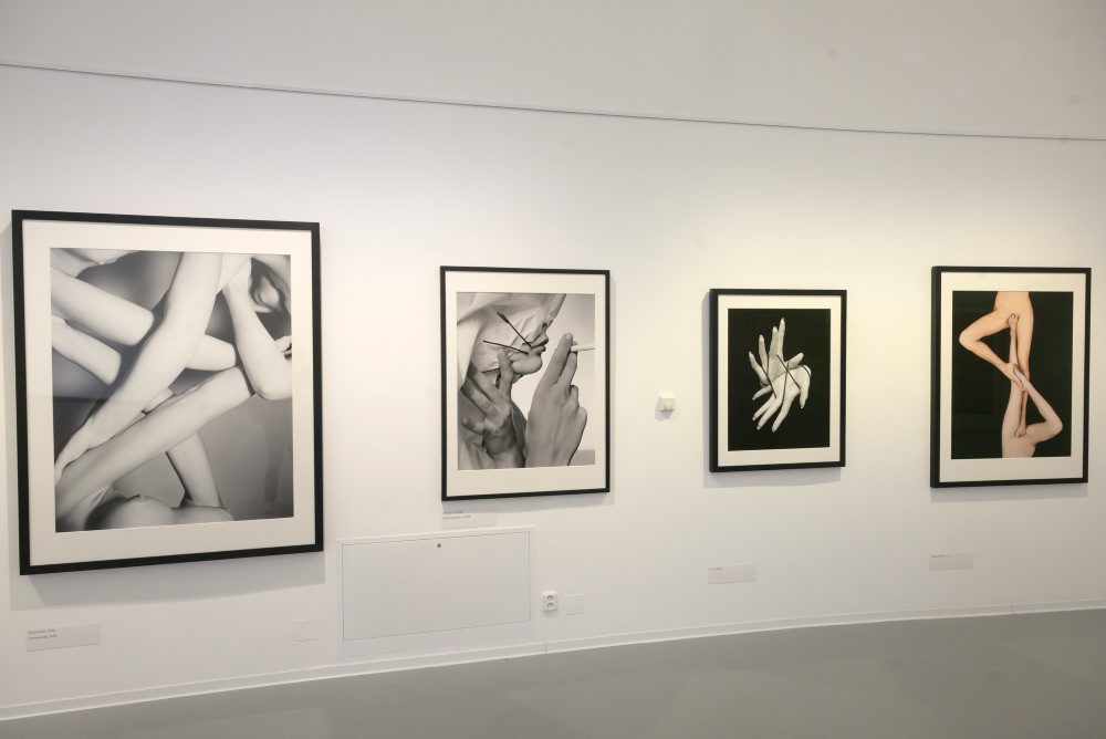 Výstava fotografií Tona Stana v bratislavskej Danubiane