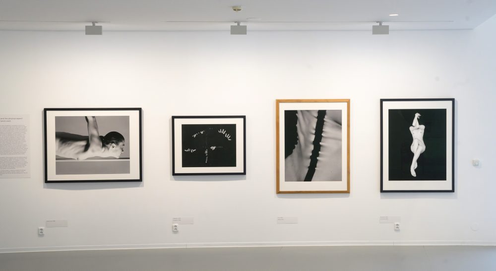 Výstava fotografií Tona Stana v bratislavskej Danubiane