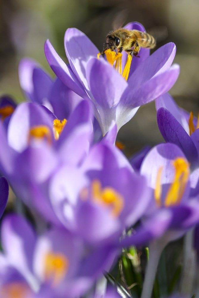 Jarné počasie v Nemecku 