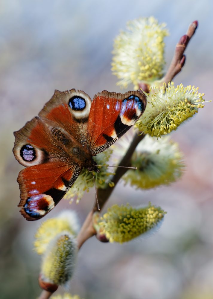 Jarné počasie v Nemecku 