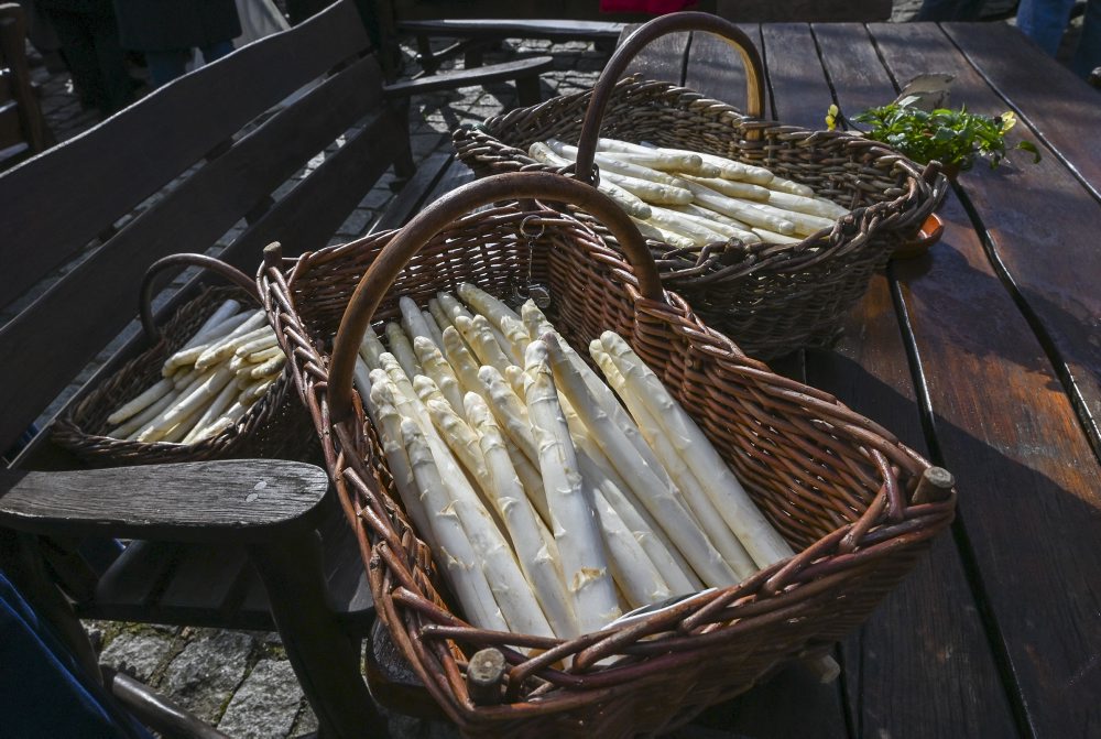 Oficiálny zber špargle v Brandenbursku 