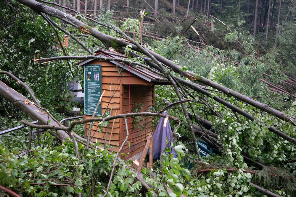 Po ničivej búrke uzavreli národný park Saské Švajčiarsko