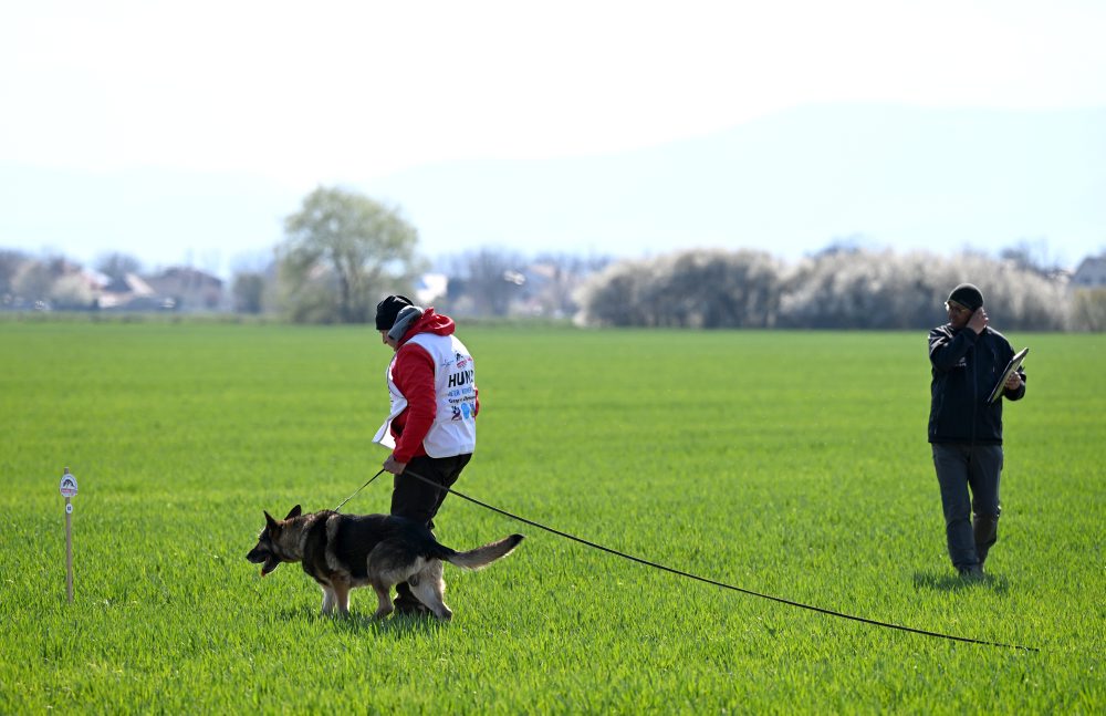 Vranov nad Topľou hostí majstrovstvá sveta v stopovaní psov z 21 krajín