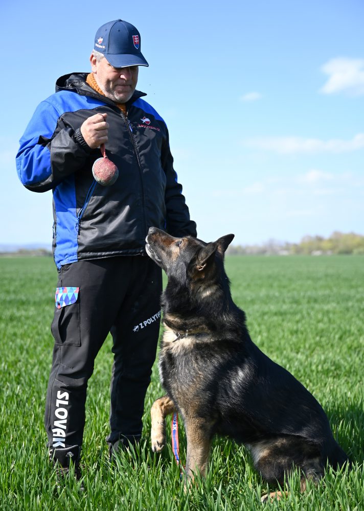 Vranov nad Topľou hostí majstrovstvá sveta v stopovaní psov z 21 krajín