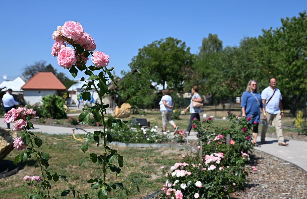 V obci Vysoká nad Uhom otvorili projekt Záhrada pútnika – rozárium