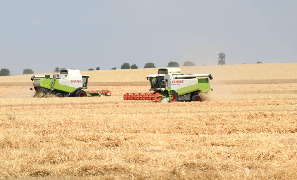 Žatva pri obci Čab v okrese Nitra 