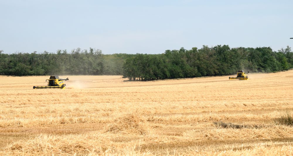 Žatva pri obci Čab v okrese Nitra 