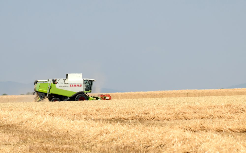 Žatva pri obci Čab v okrese Nitra 