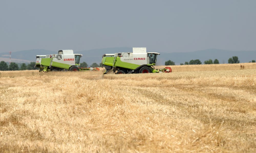 Žatva pri obci Čab v okrese Nitra 